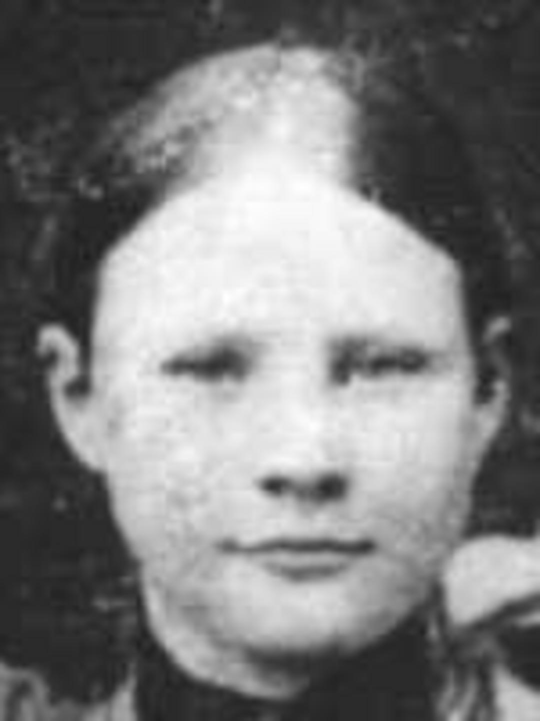 Jane Maria Capener (1840 - 1926) Profile